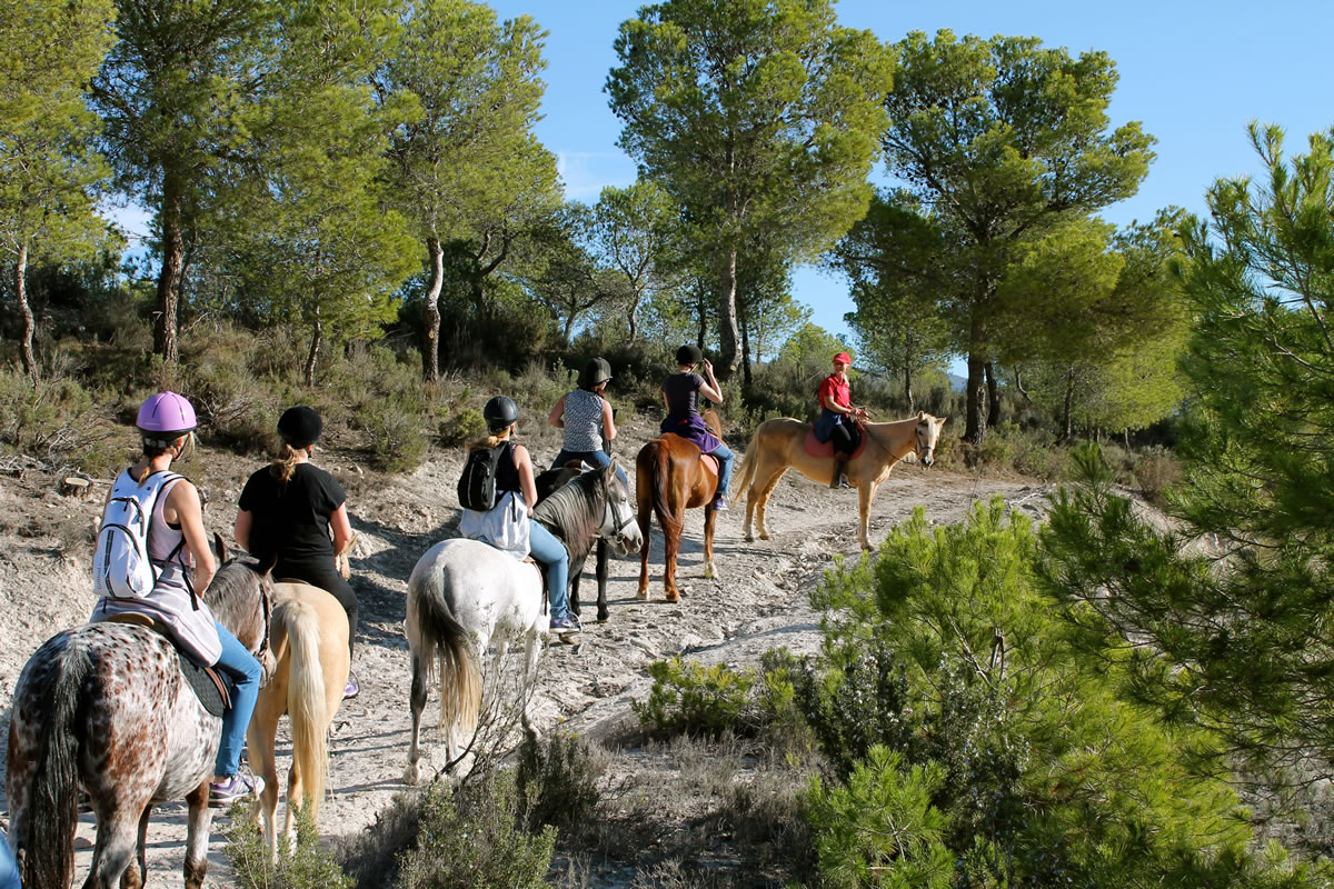 Los mejores tours de alicante