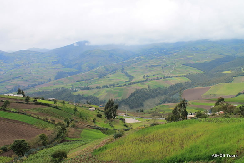 ecuador-6