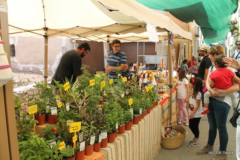 fiesta-de-la-cereza-7