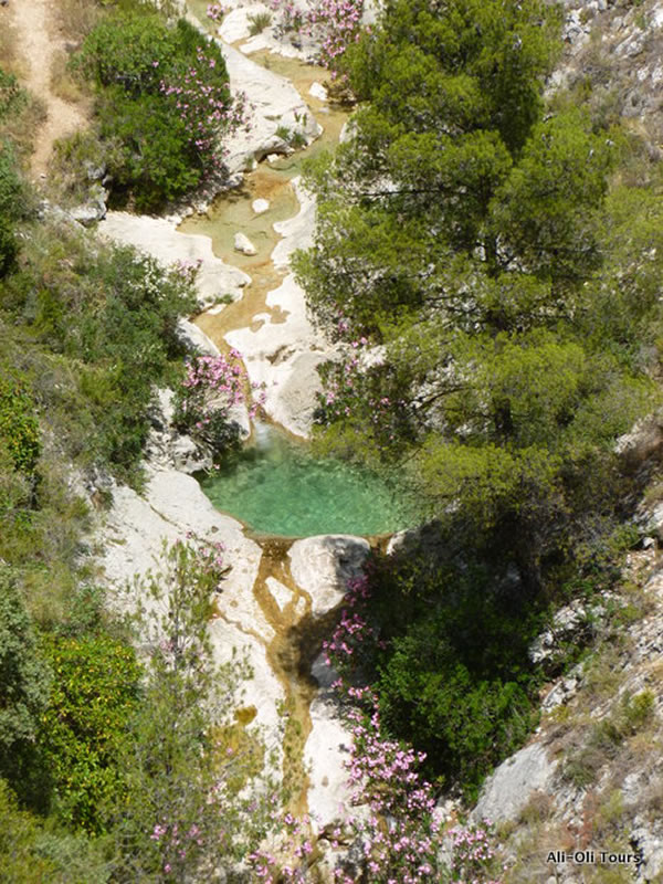 pozas-abdet