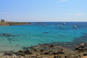 excursion a tabarca