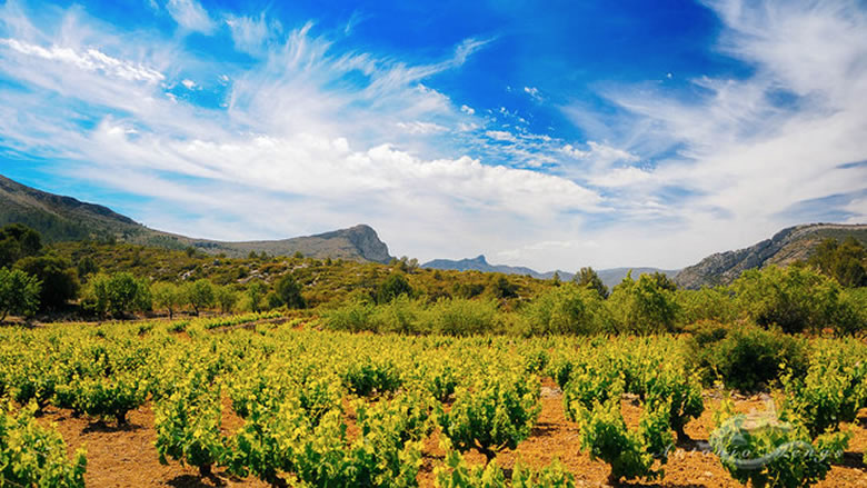 Valle de la gallinera