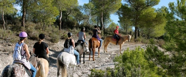 HORSEBACK RIDING TOUR