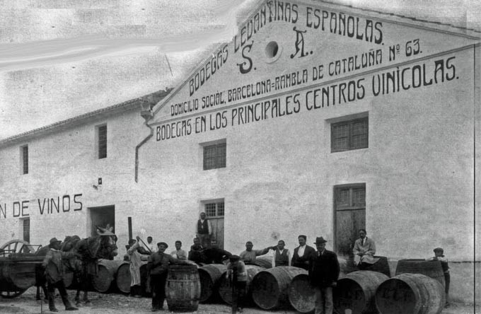 Tour bodegas de vino en Alicante