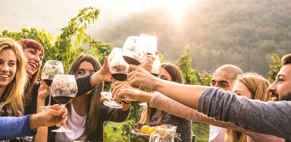 Tour bodegas de vino en Alicante