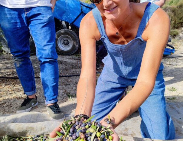 Olive oil tour Alicante-min