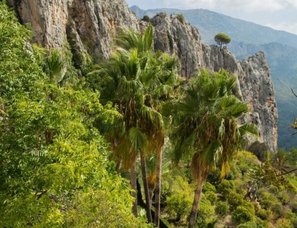 guadalest-3-683x1024-min