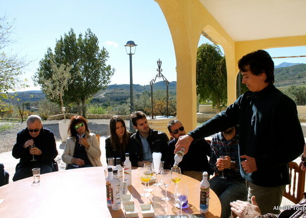 Olive oil tasting Alicante