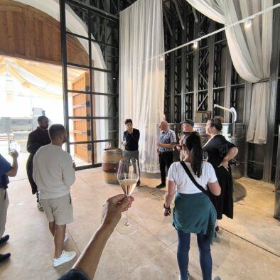 Private Alicante wine tour-min