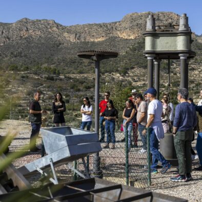 Private Olive oil tour Alicante-min