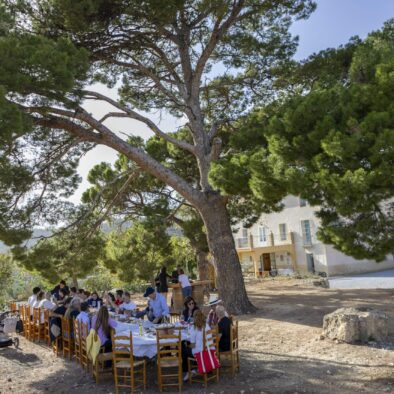 Private family tour Alicante-min